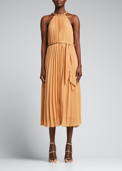 Shop Zimmermann Sunray Pleated Midi Dress In Biscuit