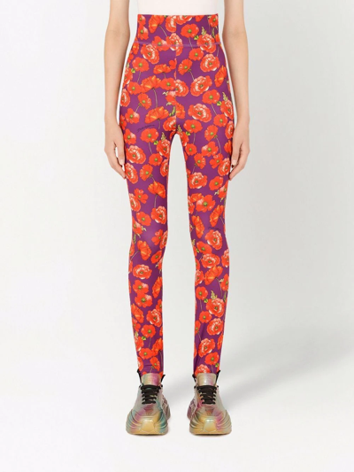 Shop Dolce & Gabbana Floral-print Leggings In Violett