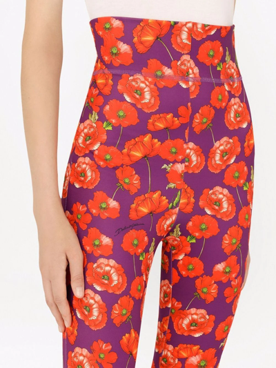 Shop Dolce & Gabbana Floral-print Leggings In Violett