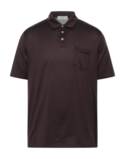 Shop Alpha Studio Polo Shirts In Dark Brown
