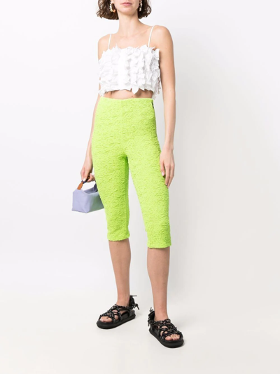 Msgm Jersey-knit Cropped Leggings In Grün