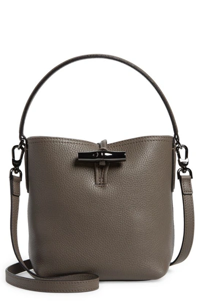 Shop Longchamp Roseau Essential Leather Bucket Bag In Grey