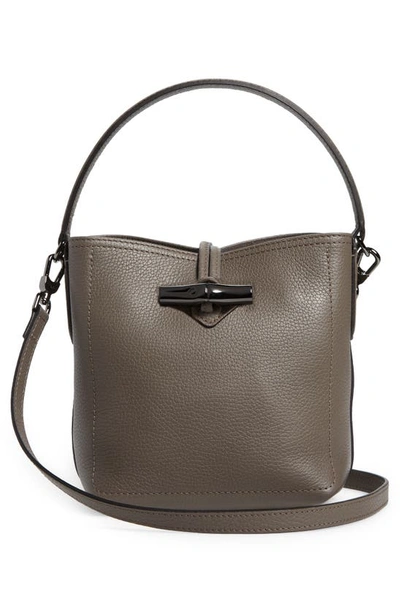 Shop Longchamp Roseau Essential Leather Bucket Bag In Grey