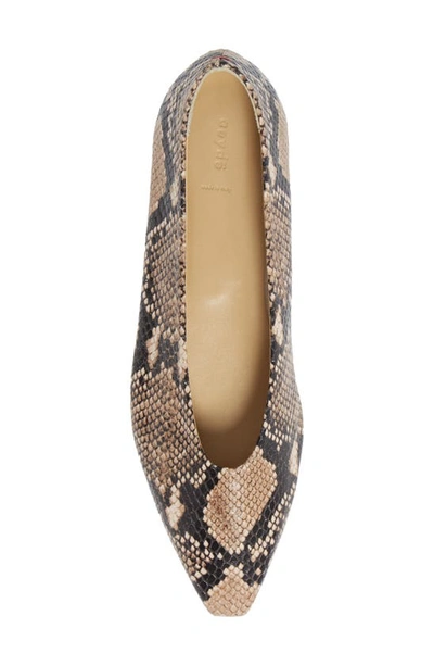Shop Aeyde Betty Pointed Toe Flat In Snake Print Natural
