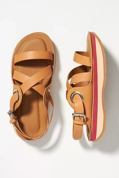 Shop See By Chloé See By Chloe Ysee Sport Sandals In Brown