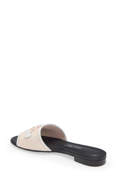 Shop Ferragamo Salvatore  Rhodes Slide Sandal In Pink Lemonade