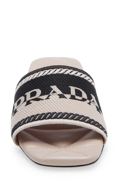 Shop Prada Logo Slide Sandal In Nero/ Ninfea