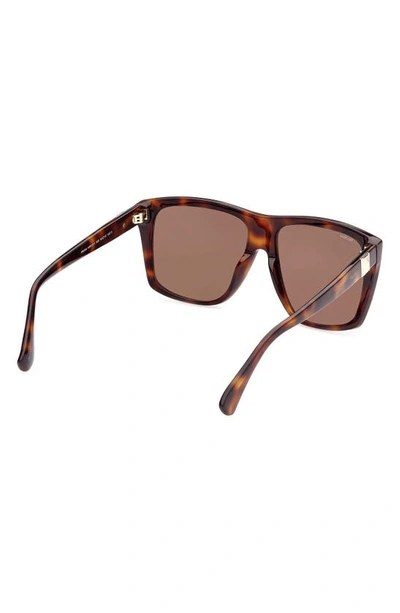 Shop Max Mara 58mm Square Sunglasses In Dark Havana