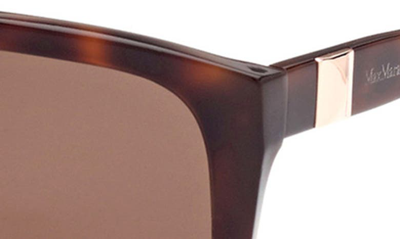 Shop Max Mara 58mm Square Sunglasses In Dark Havana