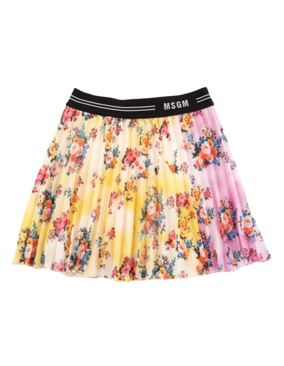 Shop Msgm Multicolored Pleated Skirt With Floral Print In Floreale