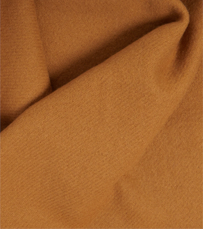 Shop Joseph Alice Wool And Cashmere Scarf In Almond