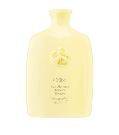Shop Oribe Hair Alchemy Resilience Shampoo (250ml) In Multi