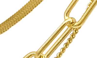 Adornia Water Resistant 14k Yellow Gold Plated Mixed Chain Layered Necklace In Yellow