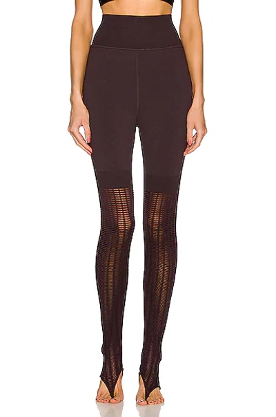 Shop Alaïa Knit Legging In Aubergine