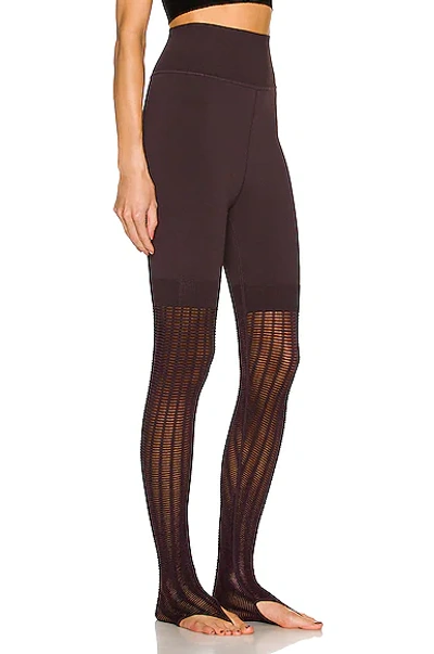 Shop Alaïa Knit Legging In Aubergine