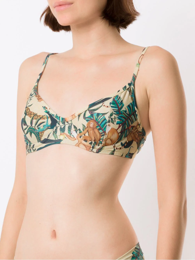 Shop Lygia & Nanny Cassis Leaf-print Bikini Top In Neutrals