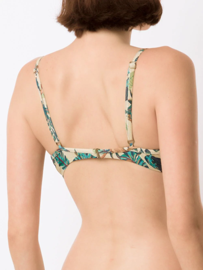 Shop Lygia & Nanny Cassis Leaf-print Bikini Top In Neutrals