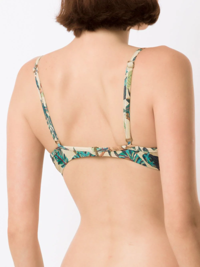 Lygia & Nanny Cassis Leaf-print Bikini Top In Neutrals
