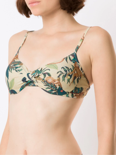 Lygia & Nanny Fiji Estampado Bikini Top In Green