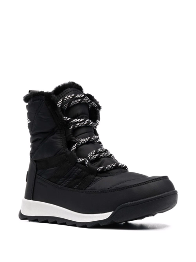 Sorel Womens Whitney Iii Mid Black Sea Salt Waterproof Ankle Boo In Animal Print