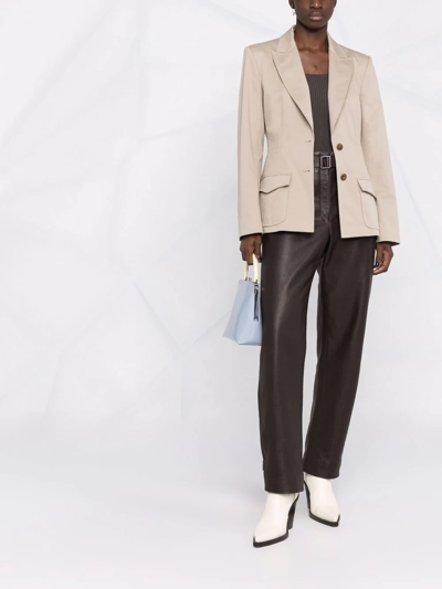 Alberta Ferretti Single-breasted Blazer In Neutrals