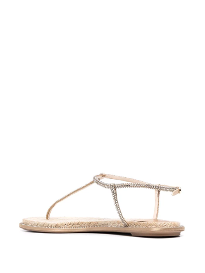 René Caovilla Diana Thong-strap Sandals In Neutrals | ModeSens