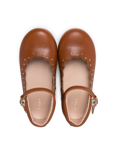 Shop Chloé Scalloped Ballerina Shoes In Brown