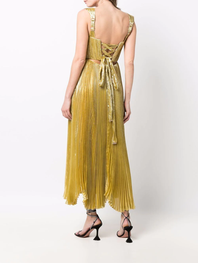 Shop Maria Lucia Hohan V-neck Sleeveless Dress In Gold