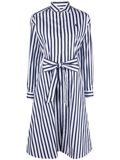 Shop Polo Ralph Lauren Striped Shirt Dress In Weiss