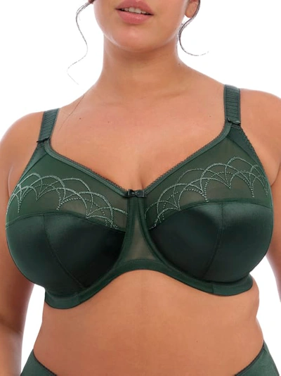 Shop Elomi Cate Side Support Bra In Pine Grove