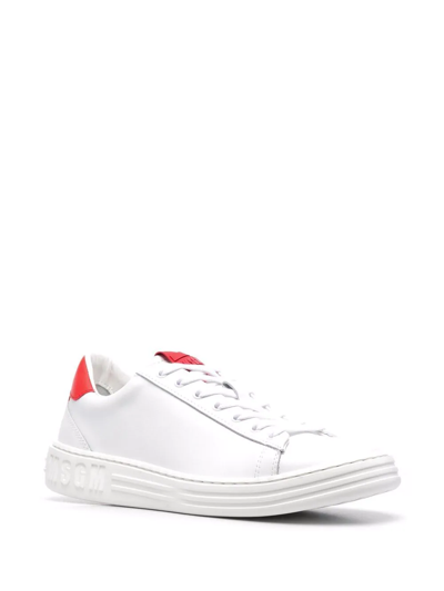 Shop Msgm Two-tone Low-top Sneakers In Weiss