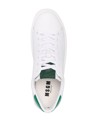 Shop Msgm Two-tone Low-top Sneakers In White