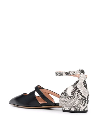 Bally Python Print-detail Pointed Pumps In Black