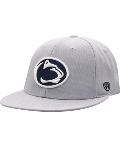 Shop Top Of The World Men's  Gray Penn State Nittany Lions Fitted Hat