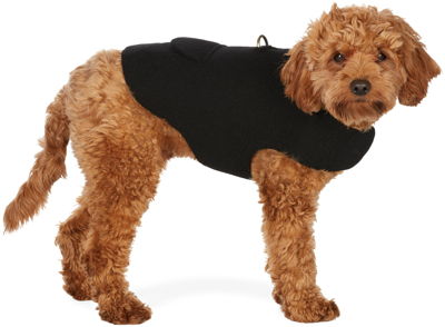 Fantastical Creatures Club Black Wrap Up Jacket Harness In Black