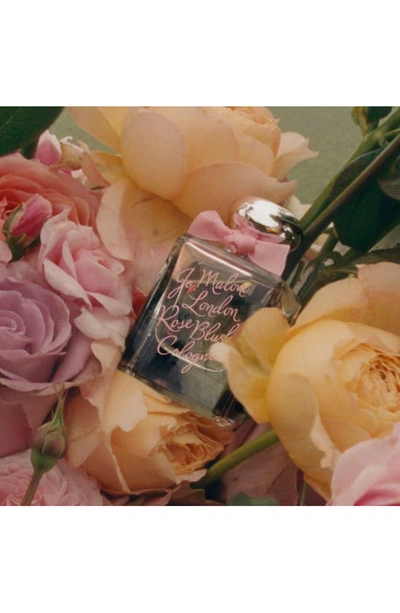 Jo Malone London Rose Blush Cologne, 1.7 oz