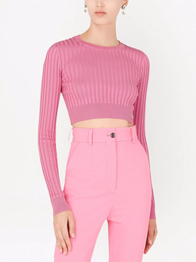 Shop Dolce & Gabbana Ribbed-knit Cropped Top In Rosa