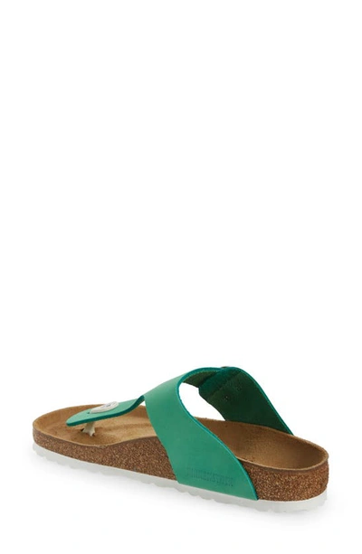 Shop Birkenstock Gizeh Big Buckle Sandal In Bold Jade