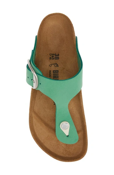 Shop Birkenstock Gizeh Big Buckle Sandal In Bold Jade