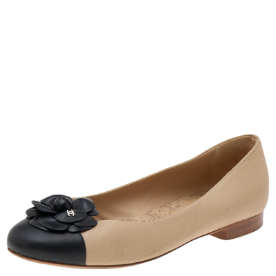 Pre-owned Beige/black Leather Camellia Flower Ballet Flats Size 38c
