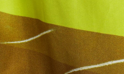 Shop Dries Van Noten Piperi Colorblock Shorts In Yellow