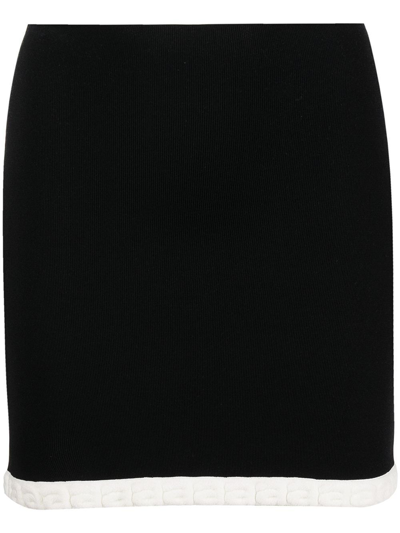 Shop Alexander Wang Women's Black Viscose Skirt