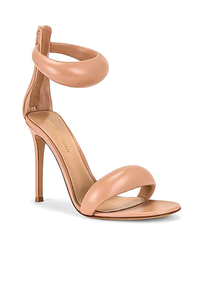 Gianvito Rossi Bijoux Heels In Peach