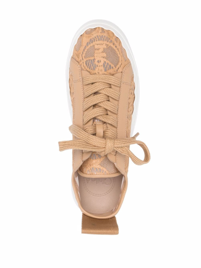 Shop Chloé Lauren Lace Sneakers In Neutrals