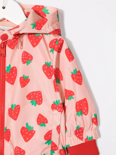 Shop Stella Mccartney Strawberry-print Hooded Jacket In Pink