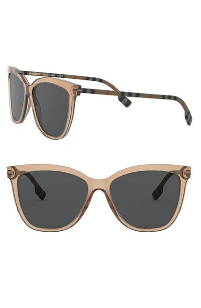 Shop Burberry 56mm Square Sunglasses In Transparent Brown/ Grey