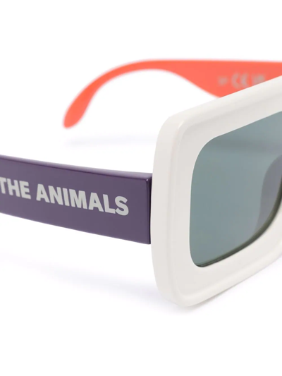 The Animals Observatory Colour-block Squared Sunglasses In Green