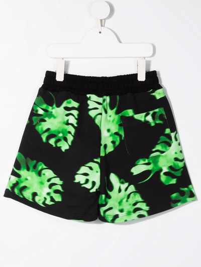 Shop Msgm Leaf-print Cotton Shorts In Black
