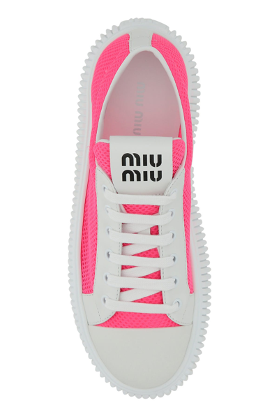 Shop Miu Miu Sneakers-40 Nd  Female