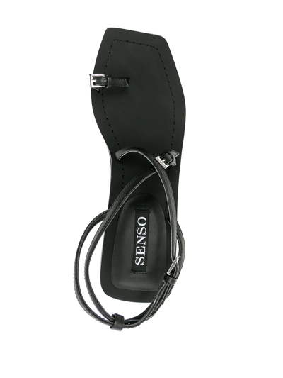 Shop Senso Laven Leather Sandals In Black